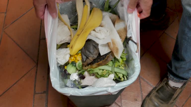 Best Residential Junk Removal  in Brooklyn Park, MN